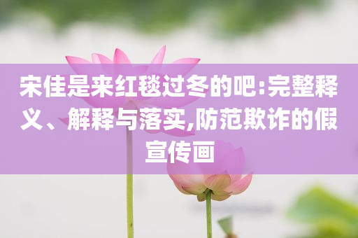 宋佳是來紅毯過冬的吧:完整釋義、解釋與落實,防范欺詐的假宣傳畫