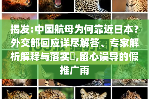 揭發(fā):中國航母為何靠近日本？外交部回應(yīng)詳盡解答、專家解析解釋與落實(shí)?,留心誤導(dǎo)的假推廣雨