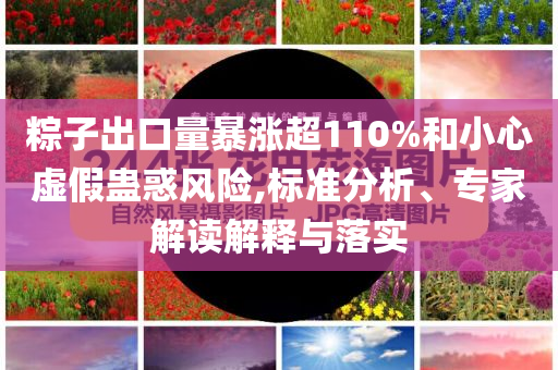 粽子出口量暴漲超110%和小心虛假蠱惑風(fēng)險,標(biāo)準(zhǔn)分析、專家解讀解釋與落實