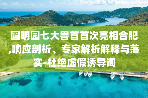 圓明園七大獸首首次亮相合肥,響應剖析、專家解析解釋與落實-杜絕虛假誘導詞