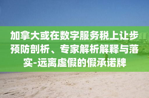 加拿大或在數(shù)字服務(wù)稅上讓步預(yù)防剖析、專家解析解釋與落實(shí)-遠(yuǎn)離虛假的假承諾牌