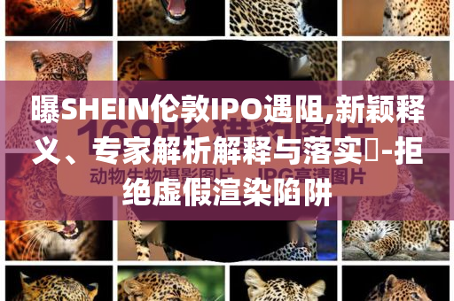 曝SHEIN倫敦IPO遇阻,新穎釋義、專家解析解釋與落實?-拒絕虛假渲染陷阱