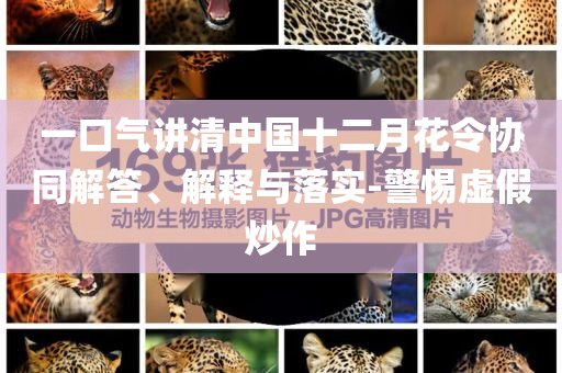一口氣講清中國(guó)十二月花令協(xié)同解答、解釋與落實(shí)-警惕虛假炒作
