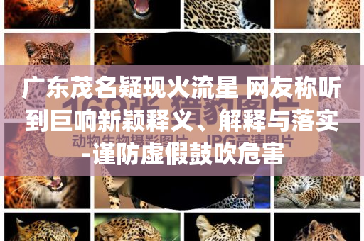 廣東茂名疑現(xiàn)火流星 網(wǎng)友稱聽(tīng)到巨響新穎釋義、解釋與落實(shí)-謹(jǐn)防虛假鼓吹危害