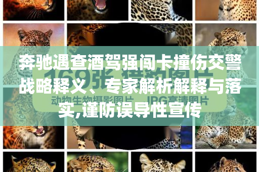 奔馳遇查酒駕強(qiáng)闖卡撞傷交警戰(zhàn)略釋義、專家解析解釋與落實,謹(jǐn)防誤導(dǎo)性宣傳