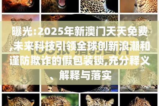 曝光:2025年新澳門天天免費(fèi),未來(lái)科技引領(lǐng)全球創(chuàng)新浪潮和謹(jǐn)防欺詐的假包裝鎖,充分釋義、解釋與落實(shí)