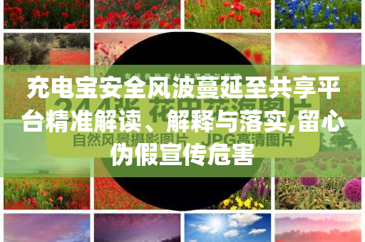 充電寶安全風(fēng)波蔓延至共享平臺精準(zhǔn)解讀、解釋與落實,留心偽假宣傳危害