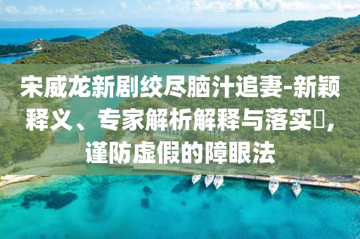 宋威龍新劇絞盡腦汁追妻-新穎釋義、專家解析解釋與落實?,謹防虛假的障眼法