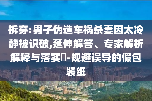 拆穿:男子偽造車(chē)禍殺妻因太冷靜被識(shí)破,延伸解答、專(zhuān)家解析解釋與落實(shí)?-規(guī)避誤導(dǎo)的假包裝紙