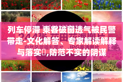 列車停滯 乘客破窗透氣被民警帶走-文化解答、專家解讀解釋與落實?,防范不實的陰謀