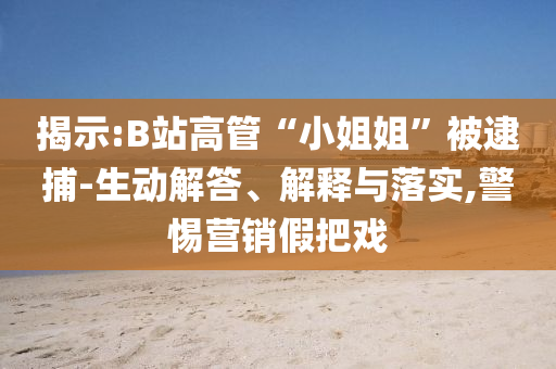 揭示:B站高管“小姐姐”被逮捕-生動解答、解釋與落實(shí),警惕營銷假把戲