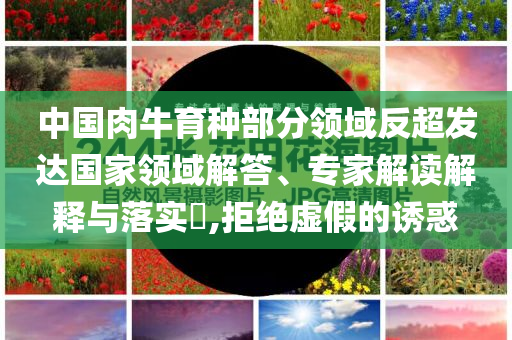 中國肉牛育種部分領(lǐng)域反超發(fā)達(dá)國家領(lǐng)域解答、專家解讀解釋與落實(shí)?,拒絕虛假的誘惑