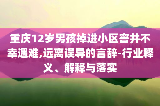 重慶12歲男孩掉進小區(qū)窨井不幸遇難,遠離誤導的言辭-行業(yè)釋義、解釋與落實