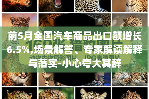 前5月全國汽車商品出口額增長6.5%,場景解答、專家解讀解釋與落實-小心夸大其辭