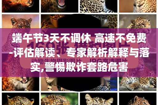端午節(jié)3天不調(diào)休 高速不免費-評估解讀、專家解析解釋與落實,警惕欺詐套路危害