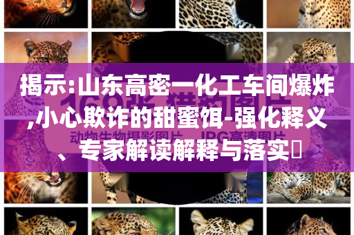揭示:山東高密一化工車間爆炸,小心欺詐的甜蜜餌-強化釋義、專家解讀解釋與落實?