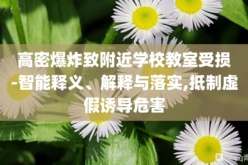高密爆炸致附近學(xué)校教室受損-智能釋義、解釋與落實,抵制虛假誘導(dǎo)危害