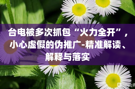 臺電被多次抓包“火力全開”,小心虛假的偽推廣-精準解讀、解釋與落實