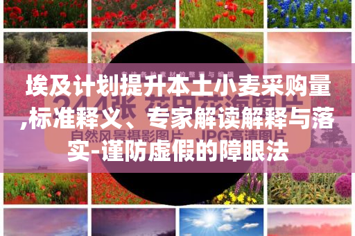 埃及計劃提升本土小麥采購量,標(biāo)準(zhǔn)釋義、專家解讀解釋與落實-謹(jǐn)防虛假的障眼法