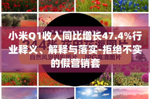 小米Q1收入同比增長(zhǎng)47.4%行業(yè)釋義、解釋與落實(shí)-拒絕不實(shí)的假營(yíng)銷套