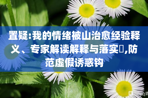 置疑:我的情緒被山治愈經(jīng)驗釋義、專家解讀解釋與落實?,防范虛假誘惑鉤