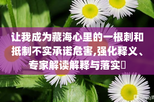 讓我成為藏海心里的一根刺和抵制不實(shí)承諾危害,強(qiáng)化釋義、專家解讀解釋與落實(shí)?