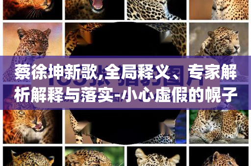 蔡徐坤新歌,全局釋義、專家解析解釋與落實(shí)-小心虛假的幌子