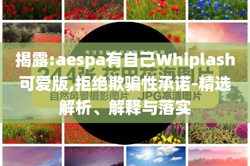 揭露:aespa有自己Whiplash可愛(ài)版,拒絕欺騙性承諾-精選解析、解釋與落實(shí)