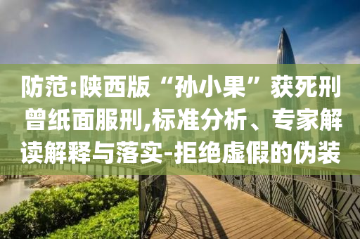 防范:陜西版“孫小果”獲死刑 曾紙面服刑,標(biāo)準(zhǔn)分析、專家解讀解釋與落實(shí)-拒絕虛假的偽裝