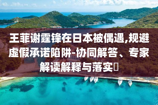 王菲謝霆鋒在日本被偶遇,規(guī)避虛假承諾陷阱-協(xié)同解答、專家解讀解釋與落實(shí)?