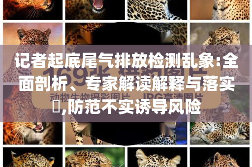 記者起底尾氣排放檢測(cè)亂象:全面剖析、專家解讀解釋與落實(shí)?,防范不實(shí)誘導(dǎo)風(fēng)險(xiǎn)