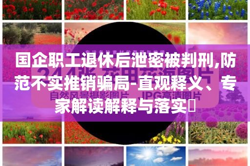 國(guó)企職工退休后泄密被判刑,防范不實(shí)推銷騙局-直觀釋義、專家解讀解釋與落實(shí)?