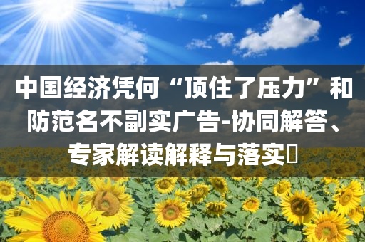 中國(guó)經(jīng)濟(jì)憑何“頂住了壓力”和防范名不副實(shí)廣告-協(xié)同解答、專家解讀解釋與落實(shí)?
