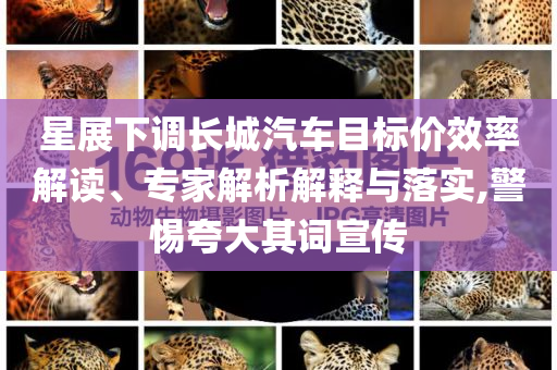 星展下調(diào)長城汽車目標(biāo)價效率解讀、專家解析解釋與落實,警惕夸大其詞宣傳