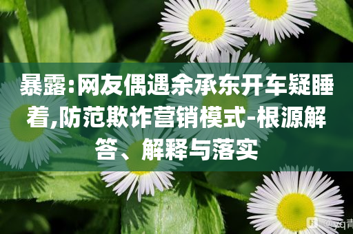 暴露:網(wǎng)友偶遇余承東開車疑睡著,防范欺詐營銷模式-根源解答、解釋與落實