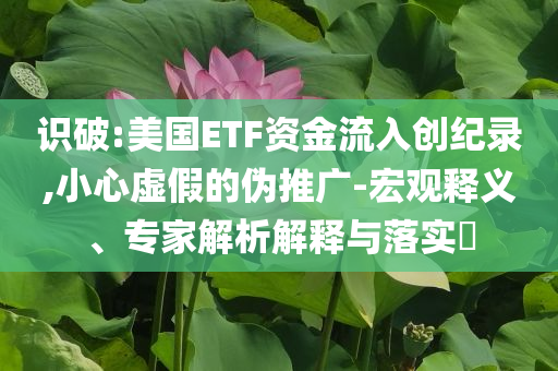 識破:美國ETF資金流入創(chuàng)紀錄,小心虛假的偽推廣-宏觀釋義、專家解析解釋與落實?