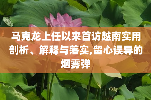 馬克龍上任以來首訪越南實用剖析、解釋與落實,留心誤導的煙霧彈