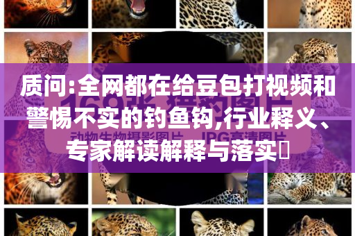 質(zhì)問:全網(wǎng)都在給豆包打視頻和警惕不實的釣魚鉤,行業(yè)釋義、專家解讀解釋與落實?