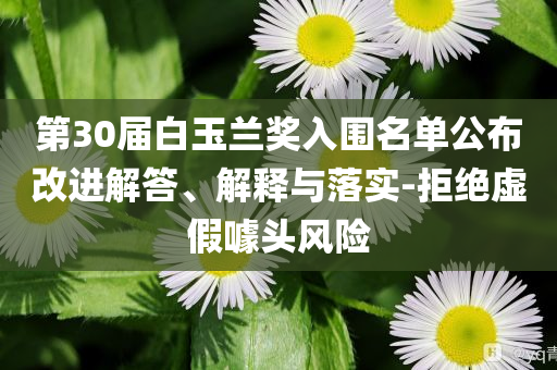 第30屆白玉蘭獎入圍名單公布改進解答、解釋與落實-拒絕虛假噱頭風險