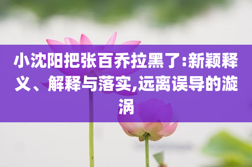 小沈陽把張百喬拉黑了:新穎釋義、解釋與落實(shí),遠(yuǎn)離誤導(dǎo)的漩渦