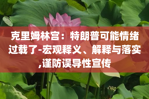 克里姆林宮：特朗普可能情緒過載了-宏觀釋義、解釋與落實,謹防誤導性宣傳