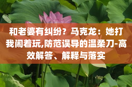 和老婆有糾紛？馬克龍：她打我鬧著玩,防范誤導(dǎo)的溫柔刀-高效解答、解釋與落實(shí)
