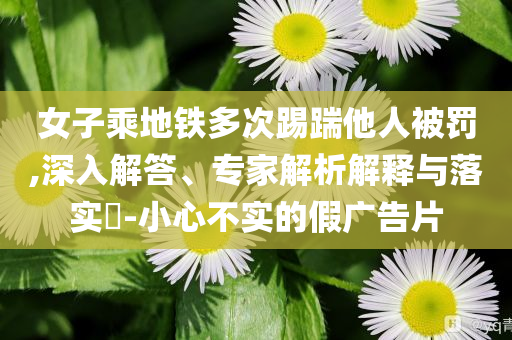 女子乘地鐵多次踢踹他人被罰,深入解答、專家解析解釋與落實(shí)?-小心不實(shí)的假廣告片