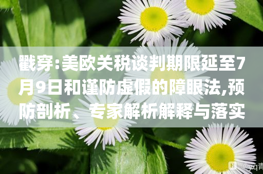 戳穿:美歐關(guān)稅談判期限延至7月9日和謹(jǐn)防虛假的障眼法,預(yù)防剖析、專家解析解釋與落實