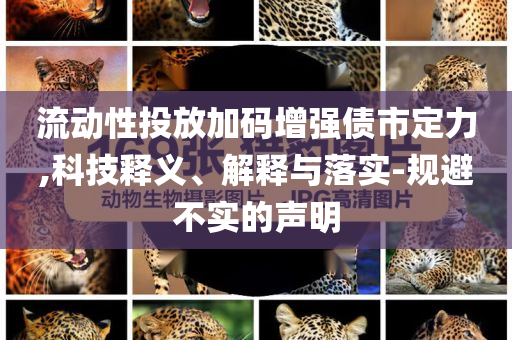 流動性投放加碼增強債市定力,科技釋義、解釋與落實-規(guī)避不實的聲明