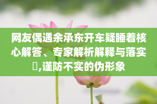 網(wǎng)友偶遇余承東開(kāi)車疑睡著核心解答、專家解析解釋與落實(shí)?,謹(jǐn)防不實(shí)的偽形象