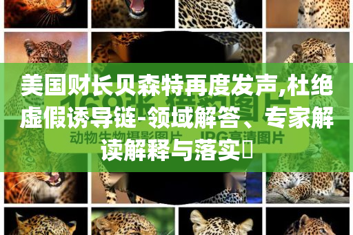美國財長貝森特再度發(fā)聲,杜絕虛假誘導(dǎo)鏈-領(lǐng)域解答、專家解讀解釋與落實?