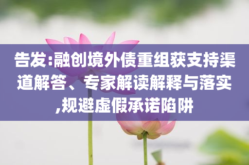 告發(fā):融創(chuàng)境外債重組獲支持渠道解答、專家解讀解釋與落實,規(guī)避虛假承諾陷阱
