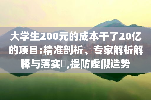 大學(xué)生200元的成本干了20億的項(xiàng)目:精準(zhǔn)剖析、專家解析解釋與落實(shí)?,提防虛假造勢(shì)