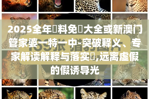2025全年資料免費大全或新澳門管家婆一特一中-突破釋義、專家解讀解釋與落實?,遠(yuǎn)離虛假的假誘導(dǎo)光